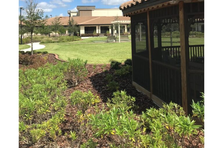 Discovery Village at Deerwood, Jacksonville FL