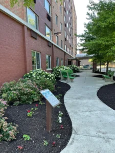 Haven at Lakewood, Lakewood OH