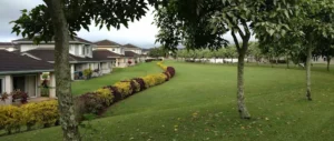 Regency at Puakea, Lihue HI